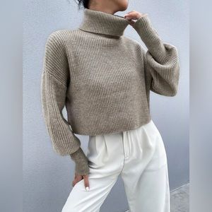 Cropped Turtleneck Sweater NWOT